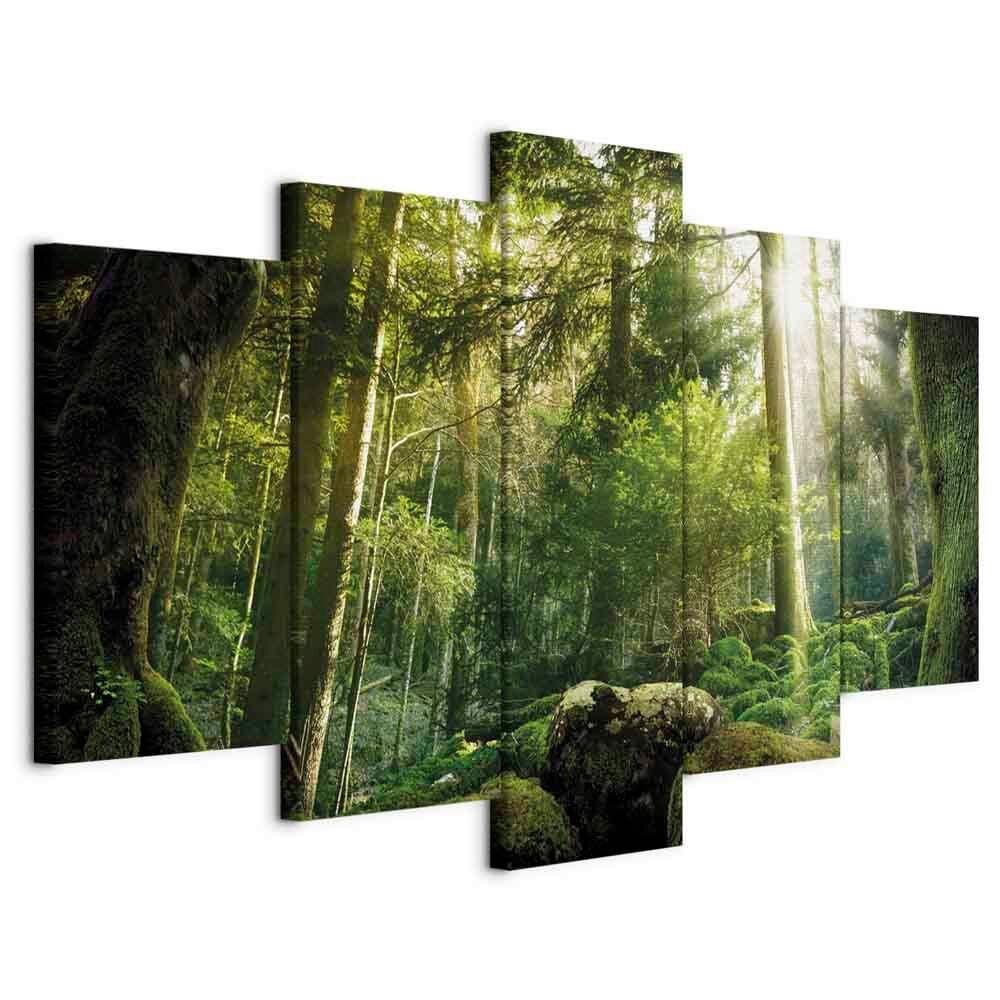 Slika Na Platnu The Beauty Of The Forest - temno zelena/svetlo zelena, Basics, tekstil/leseni material (200/100/1.2cm) - artgeist