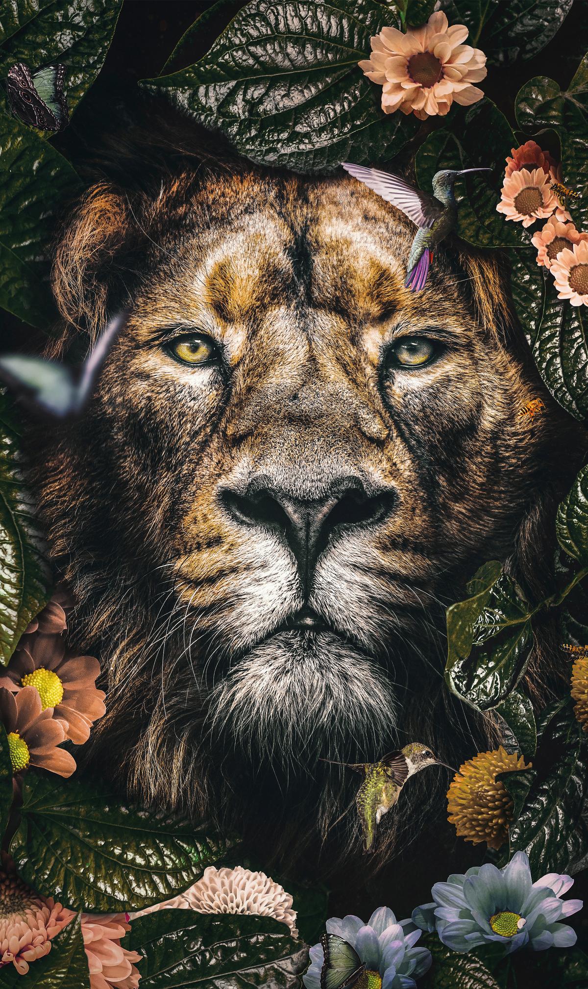 BILD POSTERJUNKIE-05-70X118-RVS-MKO - Multicolor, Basics, Kunststoff/Metall (70/118/5cm)