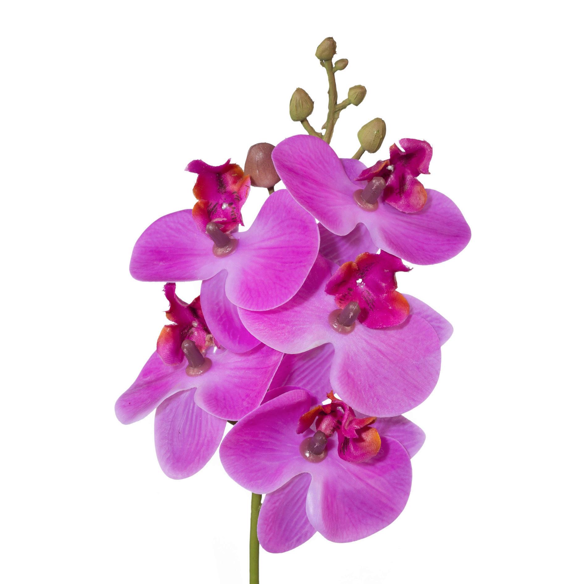 Umjetna Biljka Phalaenopsis Ii - pink, Konventionell (27cm) - Modern Living