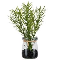 SZTUCZNA ROŚLINA ROSMARIN II - zielony/przejrzysty, Konventionell, tworzywo sztuczne/szkło (18cm) - Mömax