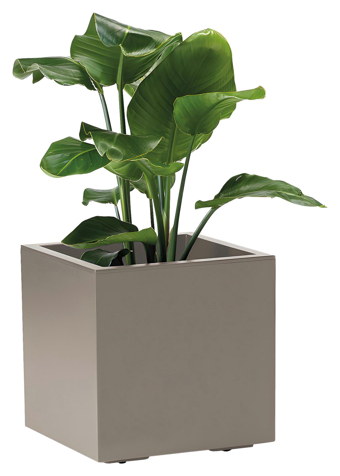 Blumenkasten Taupe - Taupe, Basics, Kunststoff (39,5/39,5/39,5cm)