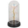 LED-DEKORATIONSLAMPA FLOWI - svart/transparent, Modern, plast (11/21cm) - Mömax