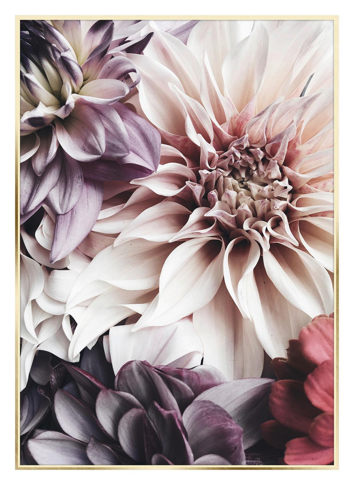 Kép Elena - arany/halvány rózsaszín, faalapú anyag/papír (50/70cm) - Mömax