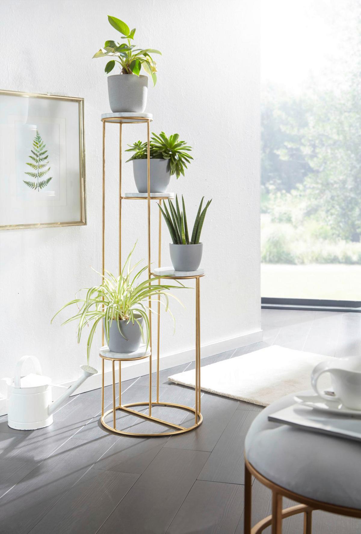 Stojalo Za Rože Wohnling - zlate barve, Design, kovina (37/108/37cm) - MID.YOU