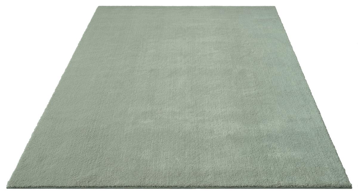 Fellteppich Loft Grün ca. 240x340cm - Grün, KONVENTIONELL, Textil (240/340cm)