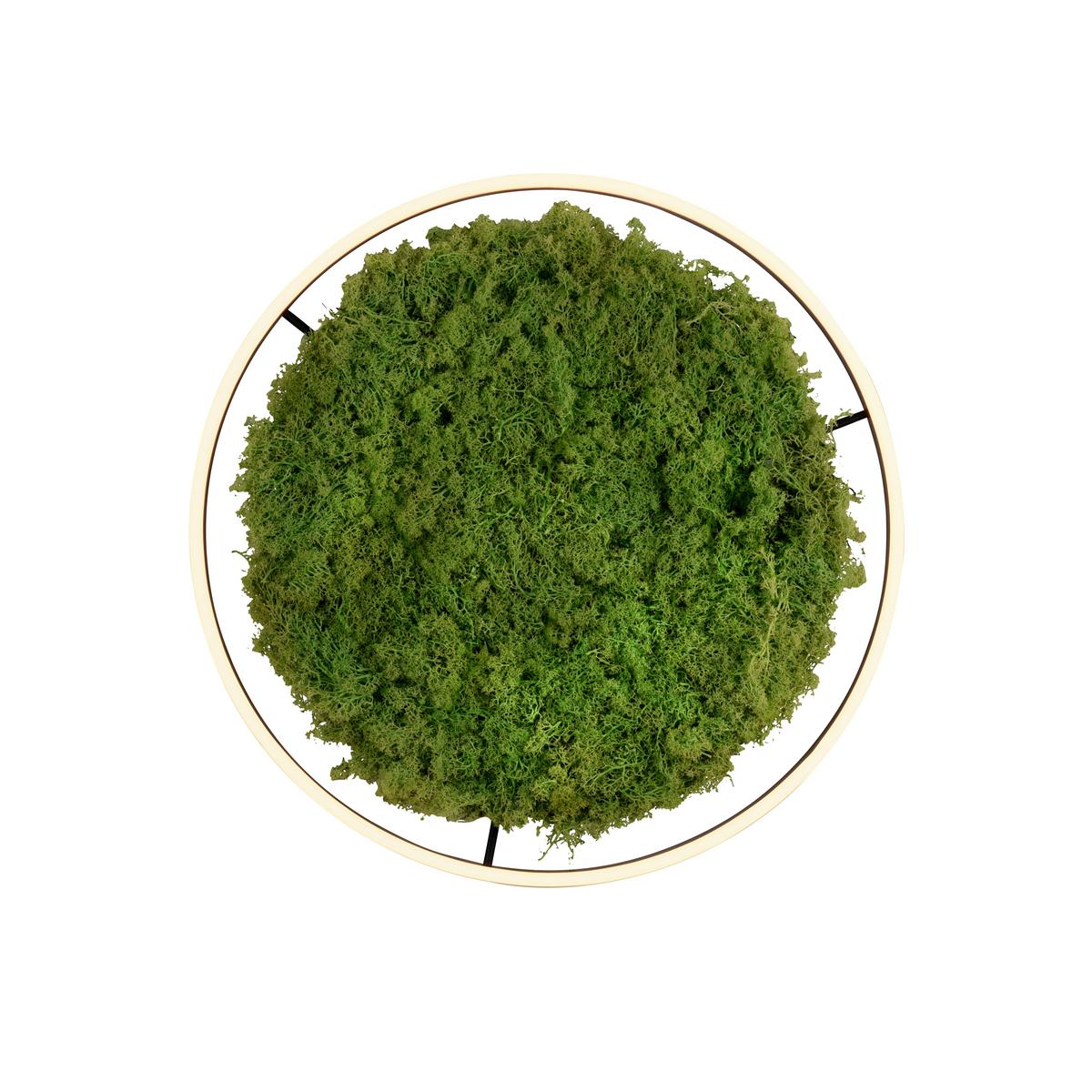 KINKIET 15392-66 GREEN RITUS - Natur, tworzywo sztuczne/materiały naturalne (58,5/58,5/5,3cm)