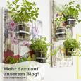 Vorratsdose Reiner - Klar/Edelstahlfarben, MODERN, Glas/Metall (8,5/10,5cm) - MÖMAX modern living