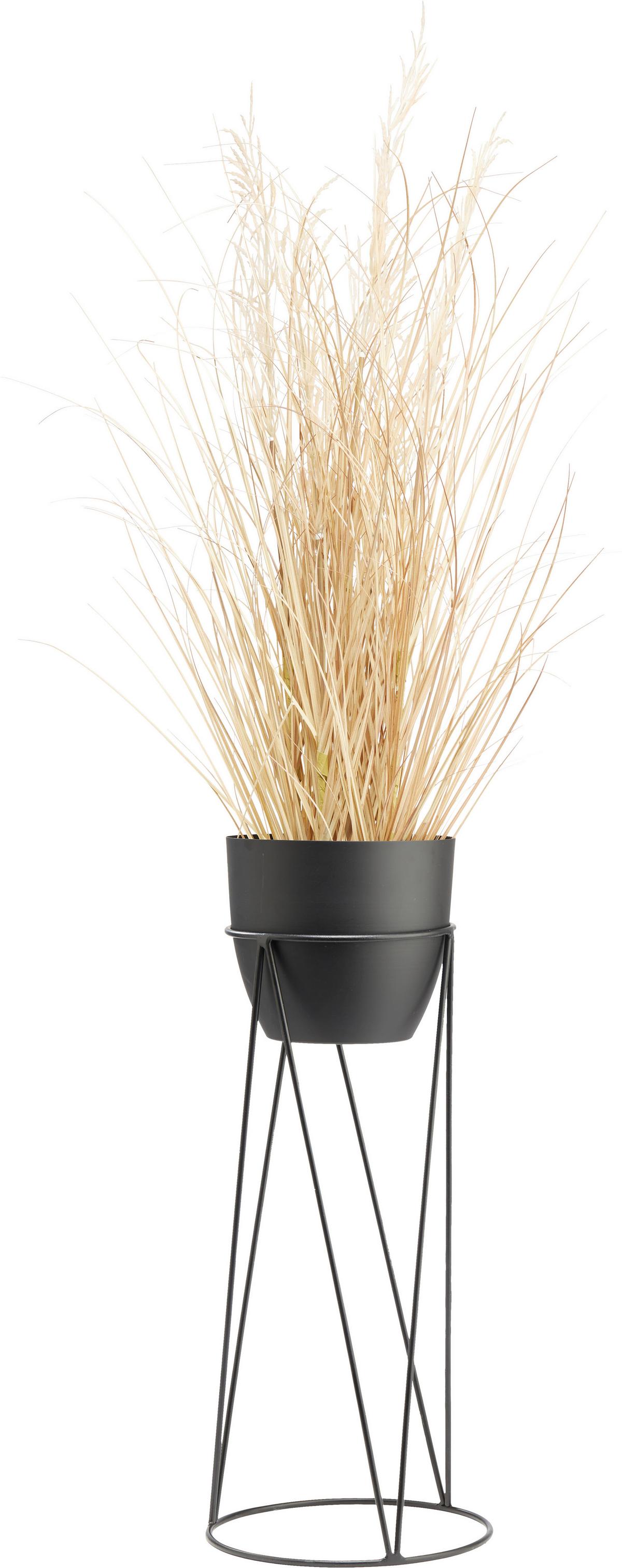 Übertopf Eastside aus Metal Ø ca. 25cm - Schwarz, Metall (25/60cm) - Mömax