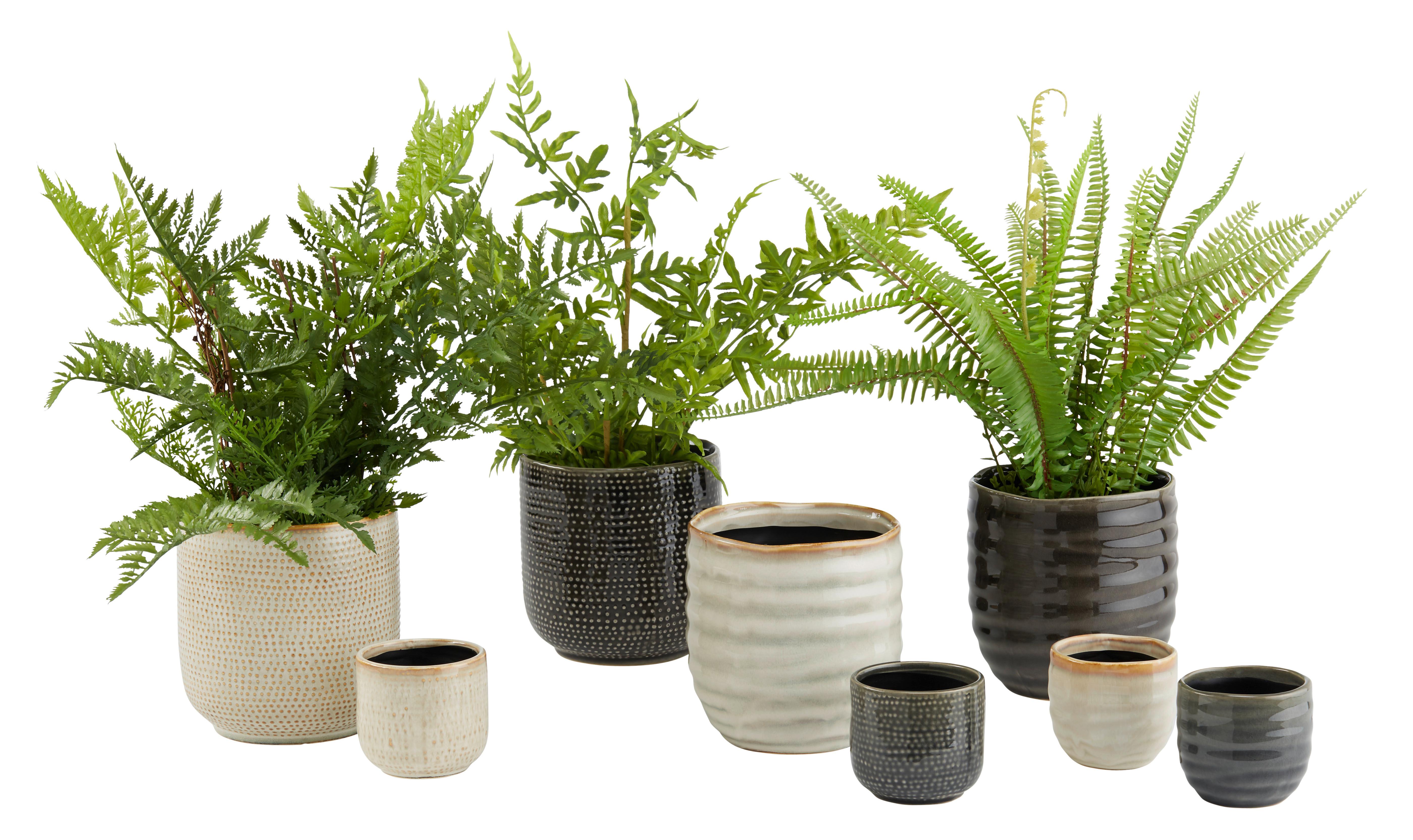 Okrasni Lonček Mood - bež, keramika (6,5/6,5cm) - Modern Living