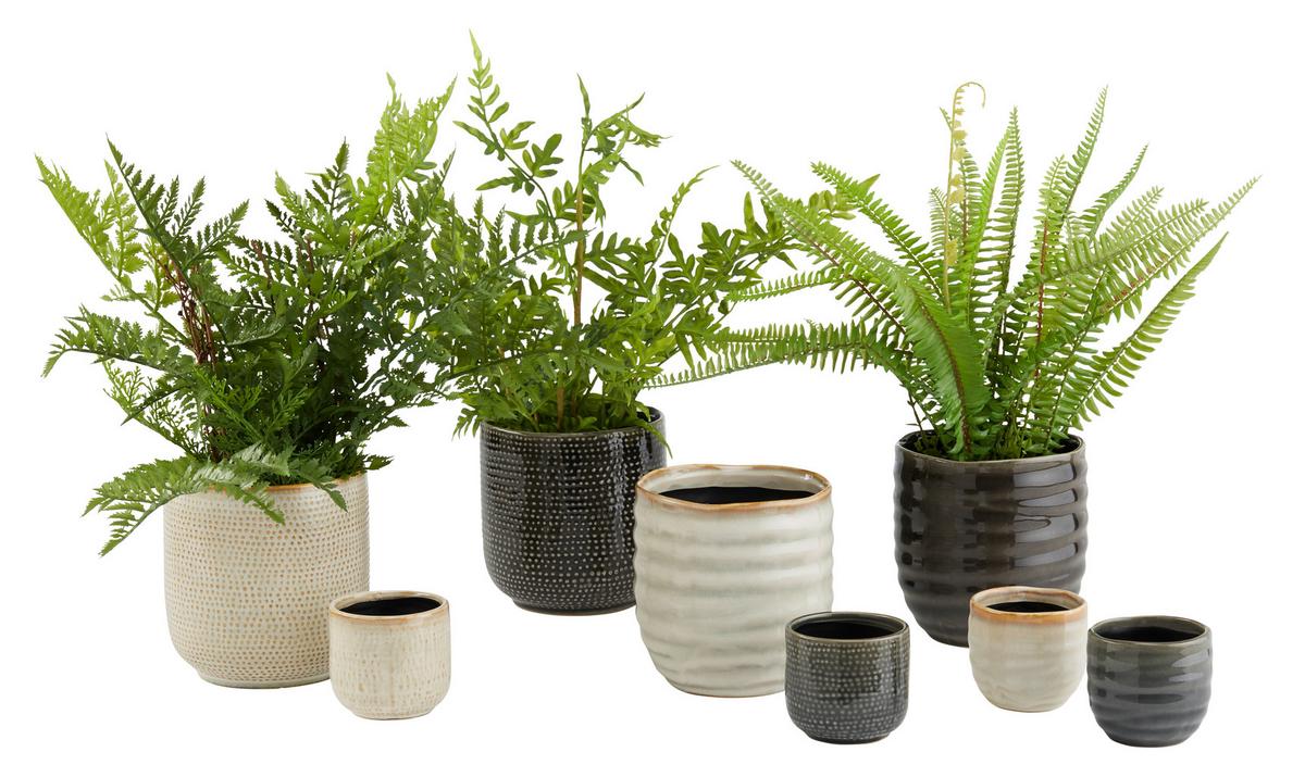 Kaspó Átm.: Kb. 6,5cm Mood - bézs, kerámia (6,5/6,5cm) - Modern Living
