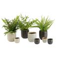 Ghiveci Decorativ Mood - bej, ceramică (6,5/6,5cm) - Modern Living Ghiveci Decorativ Mood - bej, ceramică (6,5/6,5cm) - Modern Living