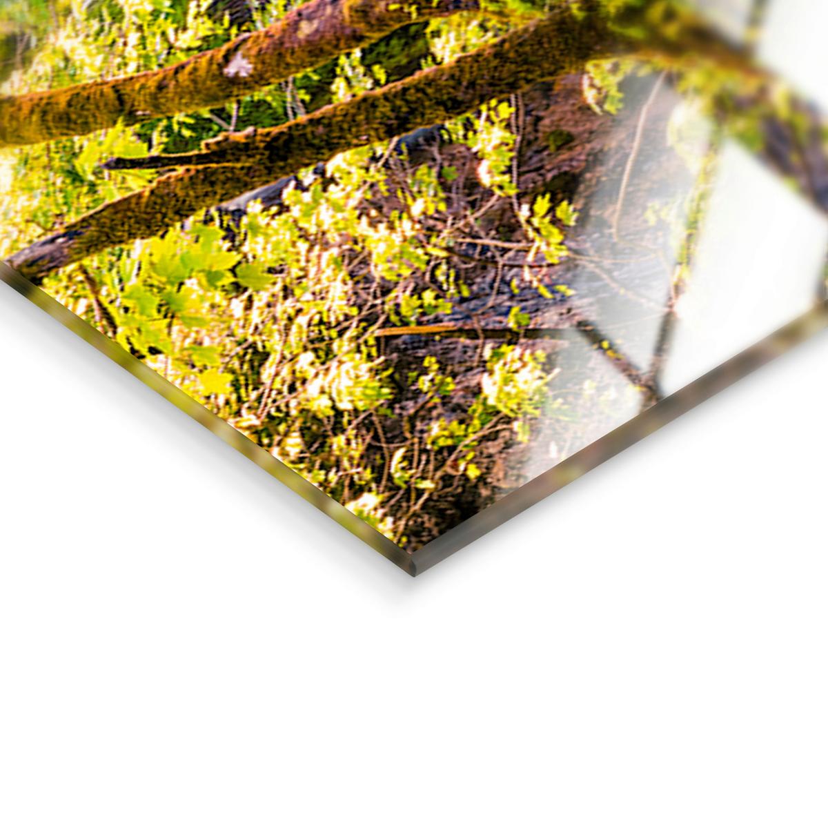 Glasbild Hidden Falls Multicolor ca. 125x50cm - Multicolor, Basics, Glas/Papier (125/50cm)