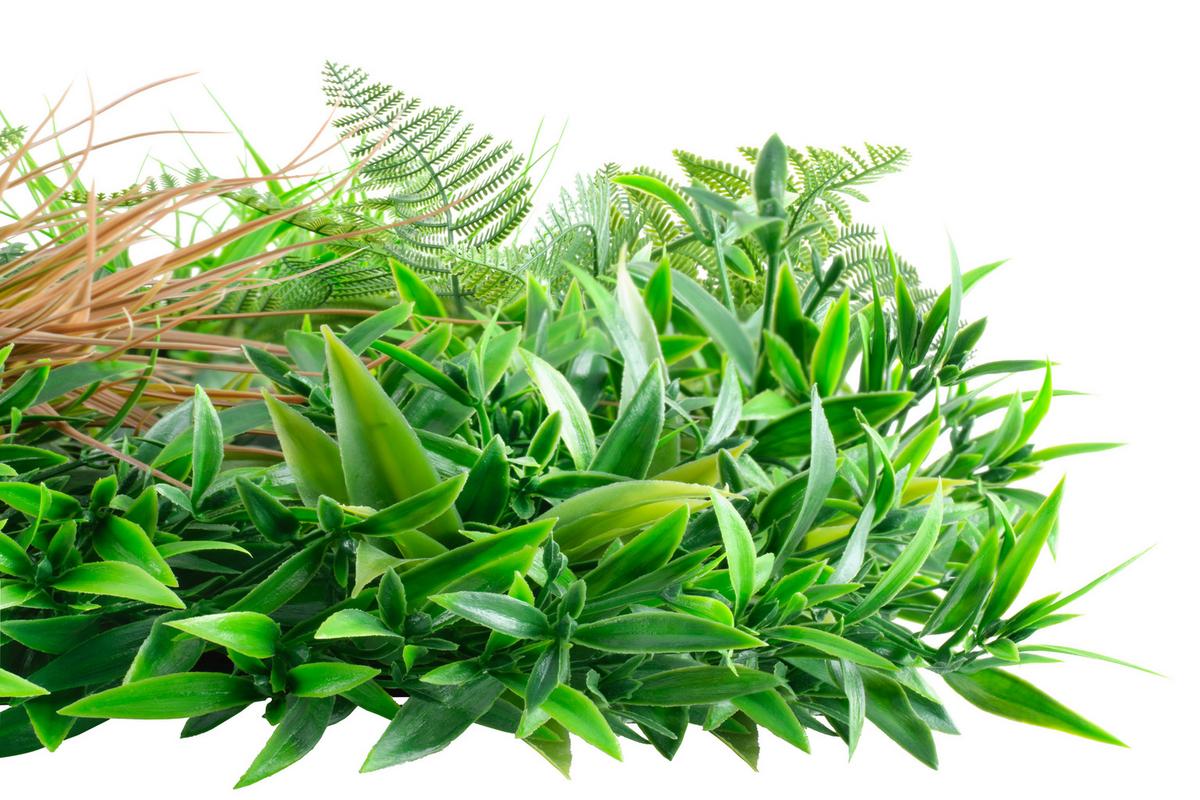 Umetna Rastlina Grasmatte - zelena/bela, Trendi, umetna masa (100/100/12cm) - Premium Living