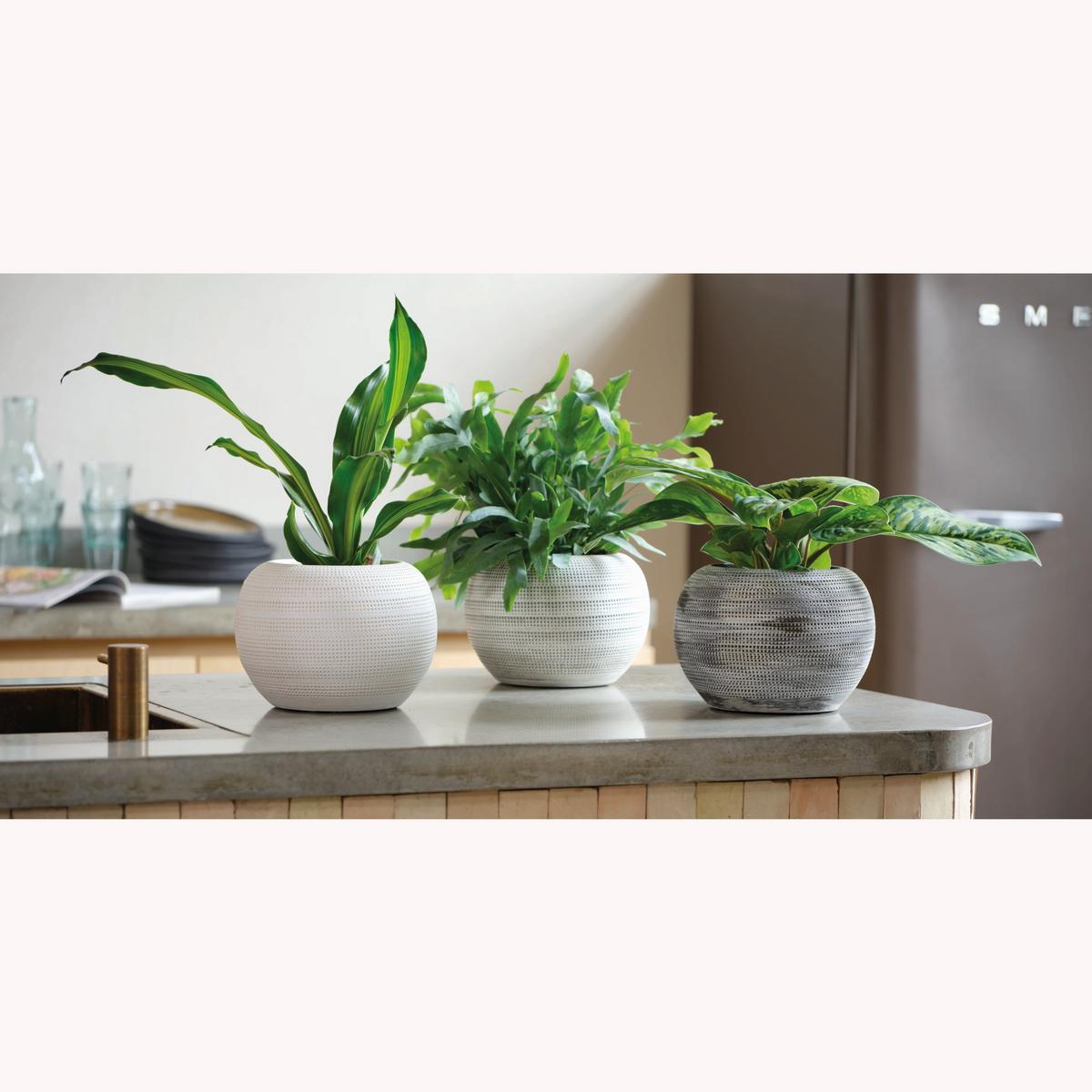 Ghiveci pentru plante Florian, cca. 19x13 cm - Basics, ceramică (19/13cm)