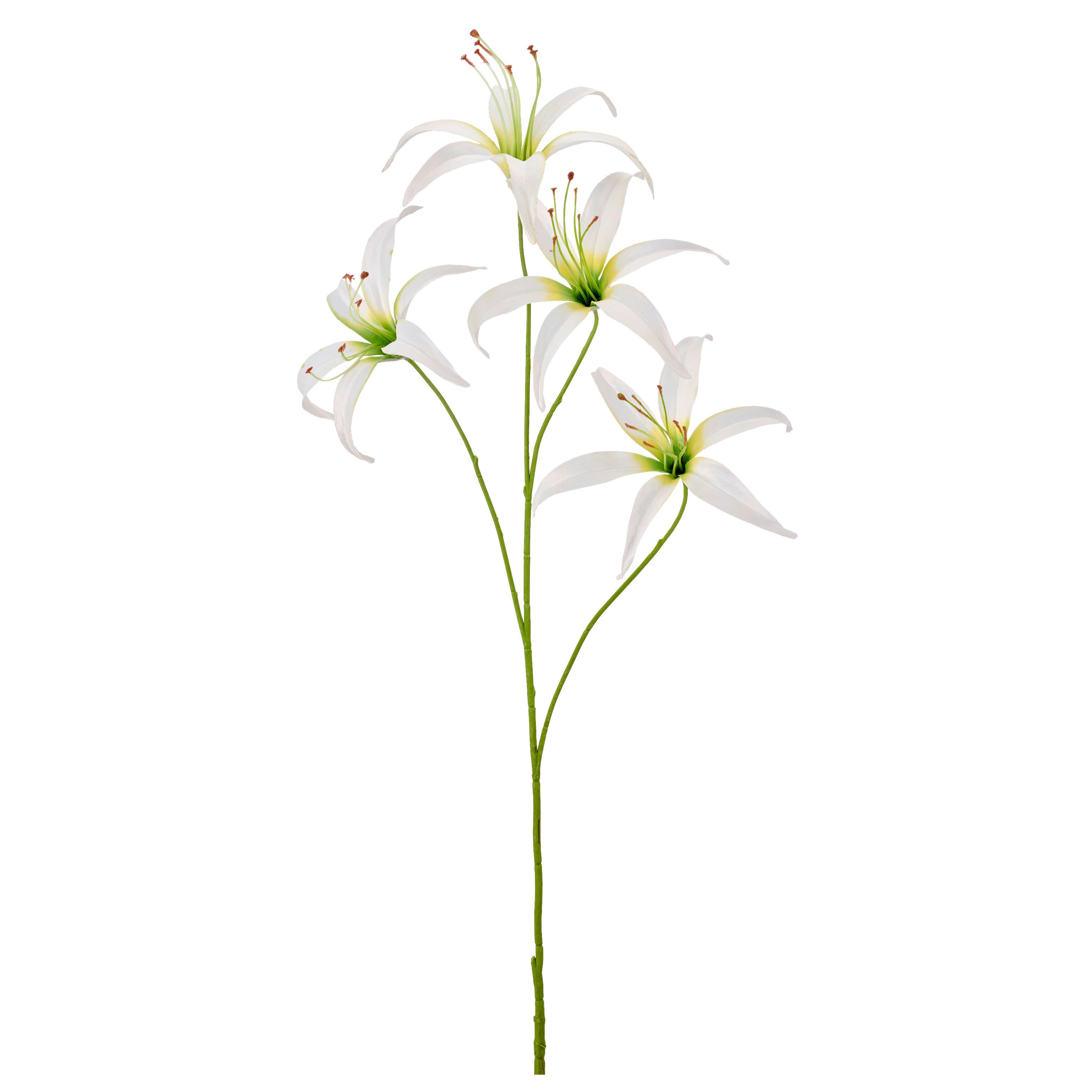 Lilie I Weiß ca. 100cm - Weiß/Grün, Basics, Kunststoff/Textil (100cm) - Mömax