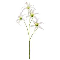 Lilie I Weiß ca. 100cm - Weiß/Grün, Basics, Kunststoff/Textil (100cm) - Mömax