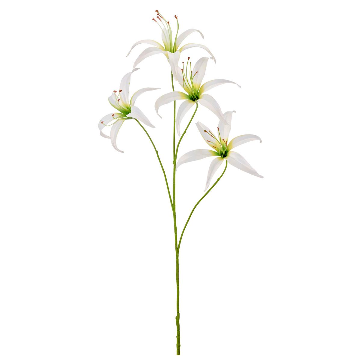 Lilie I Weiß ca. 100cm - Weiß/Grün, Basics, Kunststoff/Textil (100cm) - Mömax