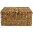 Skrinja Ranya - M - naravna, kovina/ostali naravni materiali (50/25/34cm) - Mömax modern living