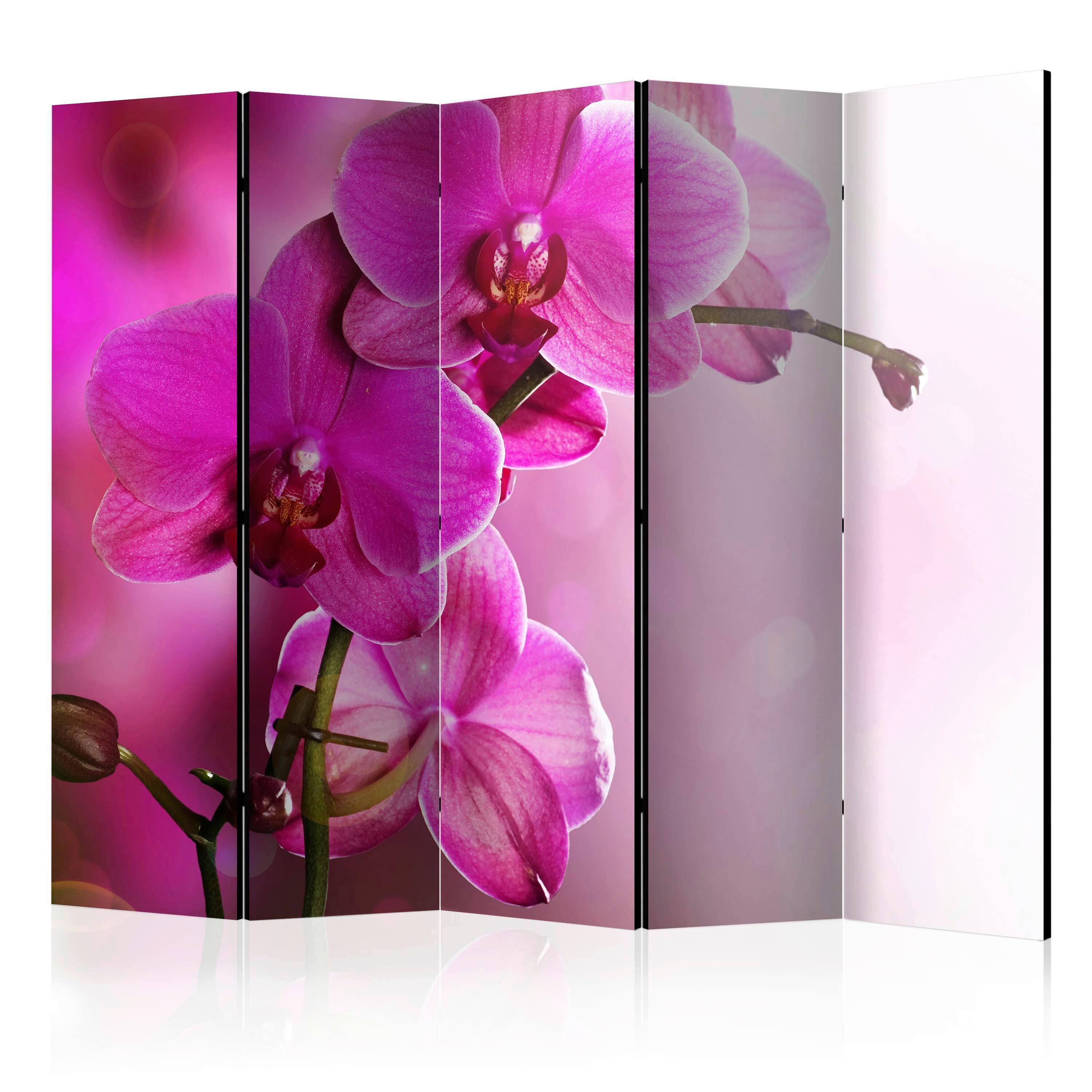 Paravent Pink Orchid Beere/Magenta - Beere/Magenta, Basics, Holz/Textil (225/172/3cm) - artgeist