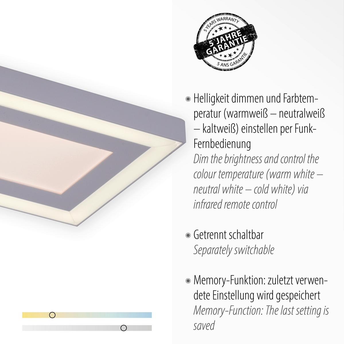 LED-Deckenleuchte Edging max. 35 Watt - Weiß, Basics, Kunststoff/Metall (100/11,8/6cm)