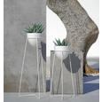 Pflanztopf Pura Weiß 20x52 cm - Weiß, Kunststoff (20/52cm) Pflanztopf Pura Weiß 20x52 cm - Weiß, Kunststoff (20/52cm)
