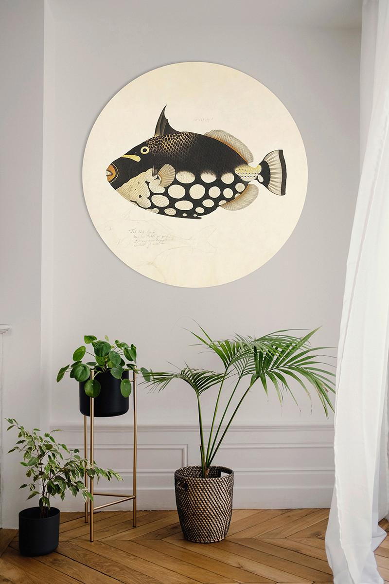 METALLBILD FISH BLACK - Beige/Schwarz, Basics, Metall (120/0,3cm)