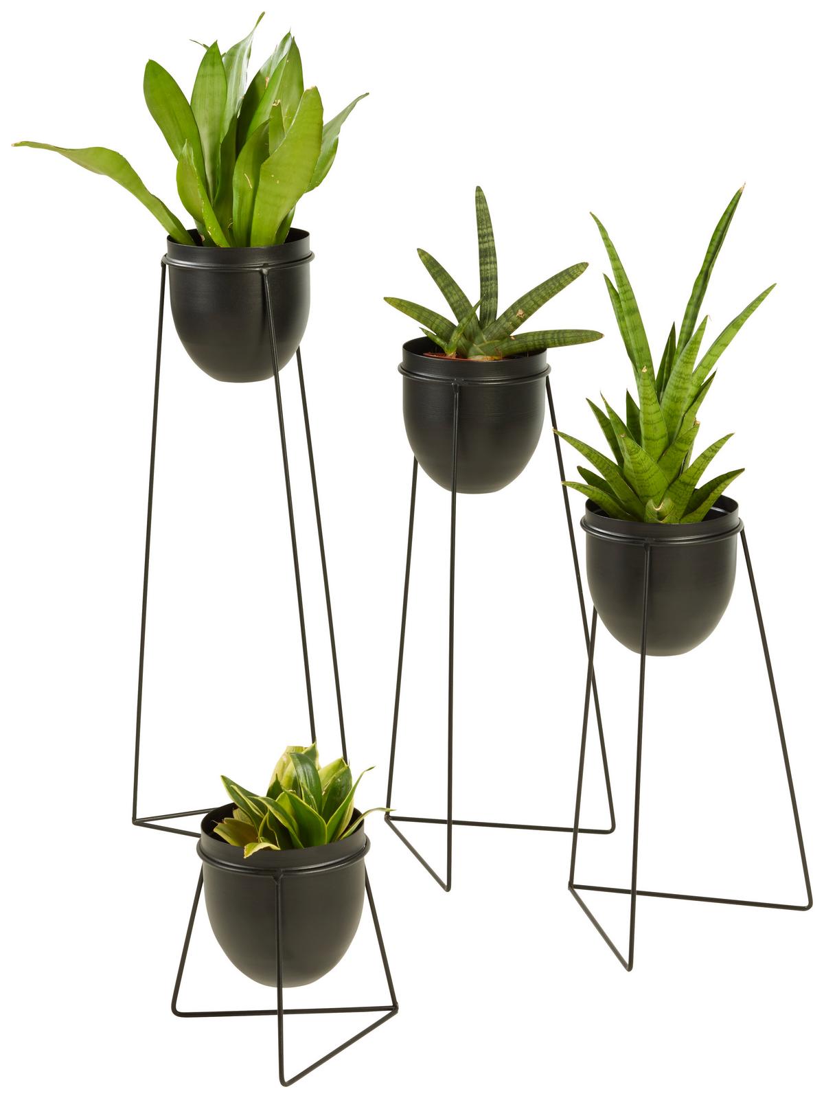 Übertopf Urbanus in Schwarz - Schwarz, Basics, Metall (24/60cm) - Modern Living