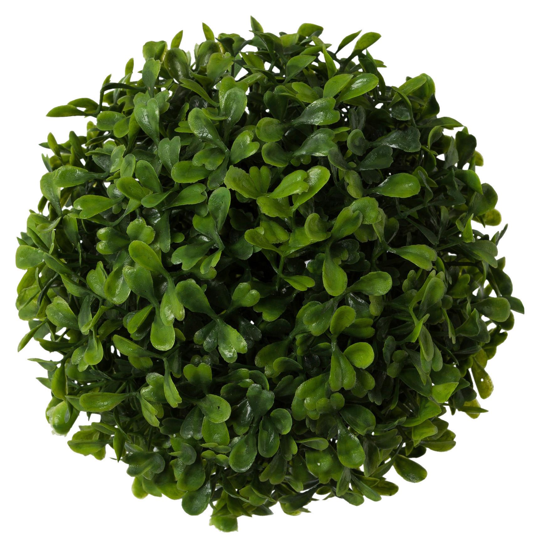 plante artificielle Buchsbaumkugel Ø ca. 15cm - Grün, Natur, Kunststoff (15cm) - Modern Living