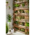 Műnövény Agave - zöld, konvencionális, műanyag (38 cmcm) - MÖMAX modern living