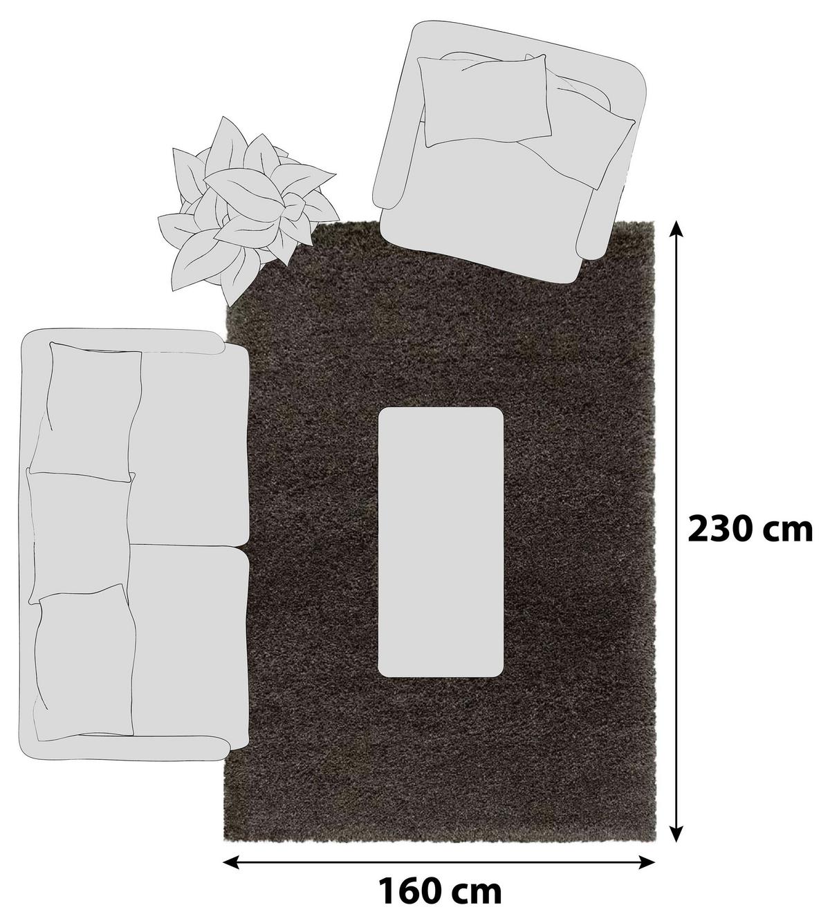 Hochflorteppich Fluffy Braun ca. 160x230cm - Braun, Basics, Textil (160/230cm)