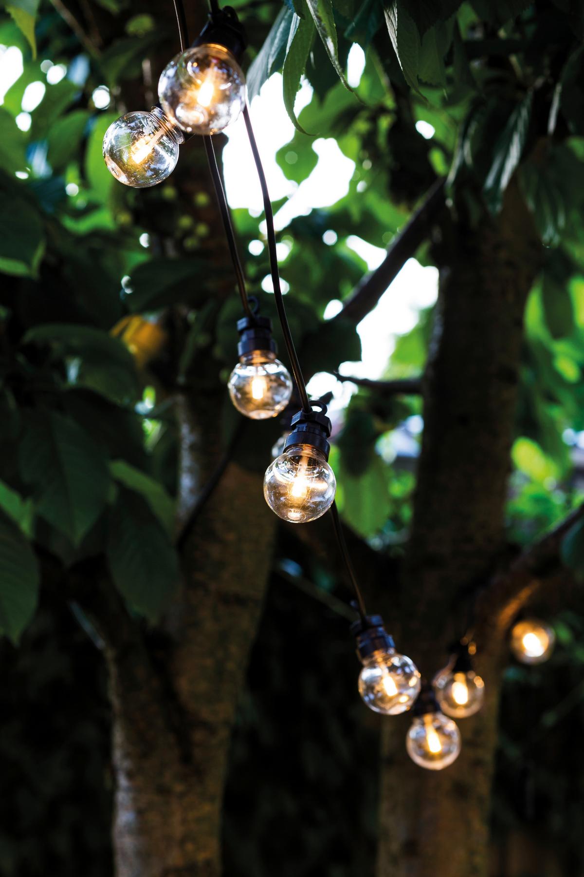 ŁAŃCUCH ŚWIETLNY 69600 LUCAS STARTER - przejrzysty/czarny, Basics, tworzywo sztuczne (300cm)