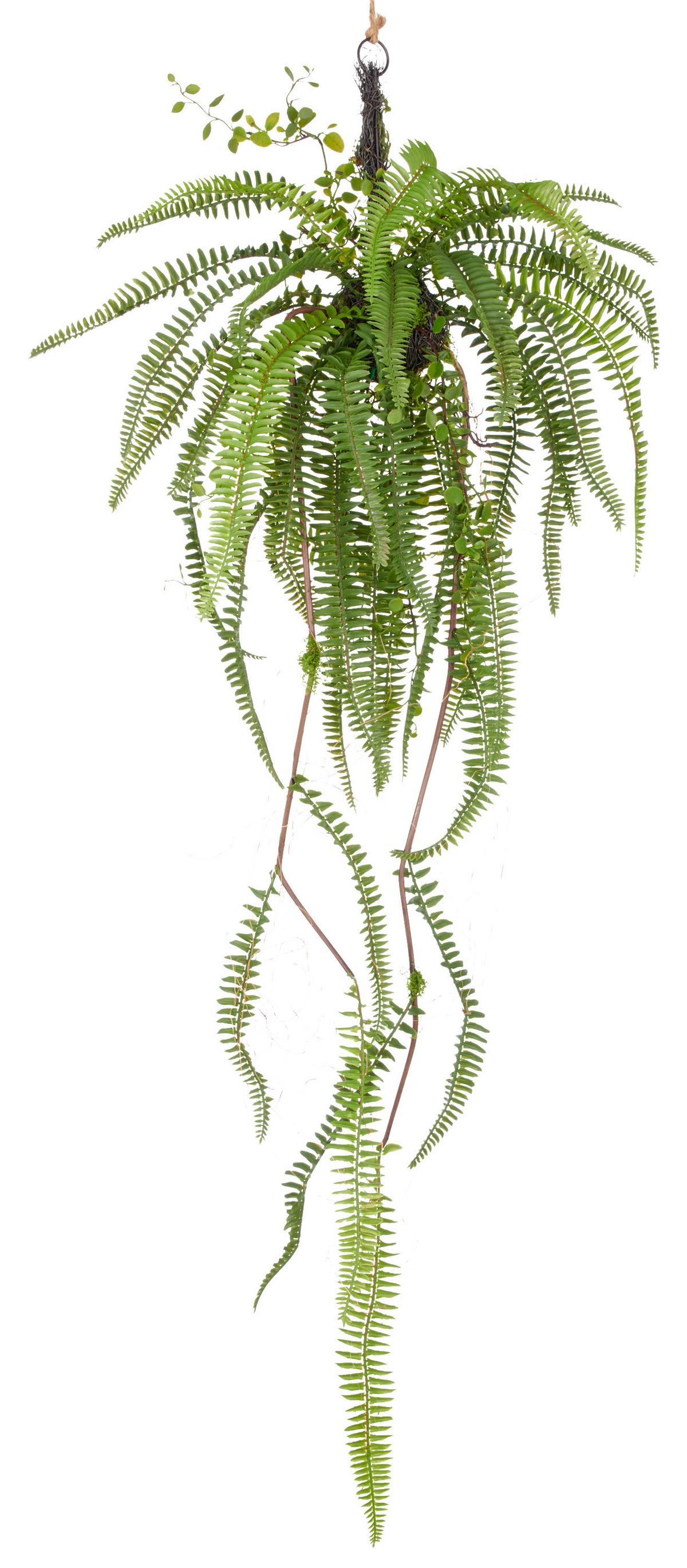 Umetna Rastlina Farnhänger I - zelena, Trendi, umetna masa (100cm) - Mömax