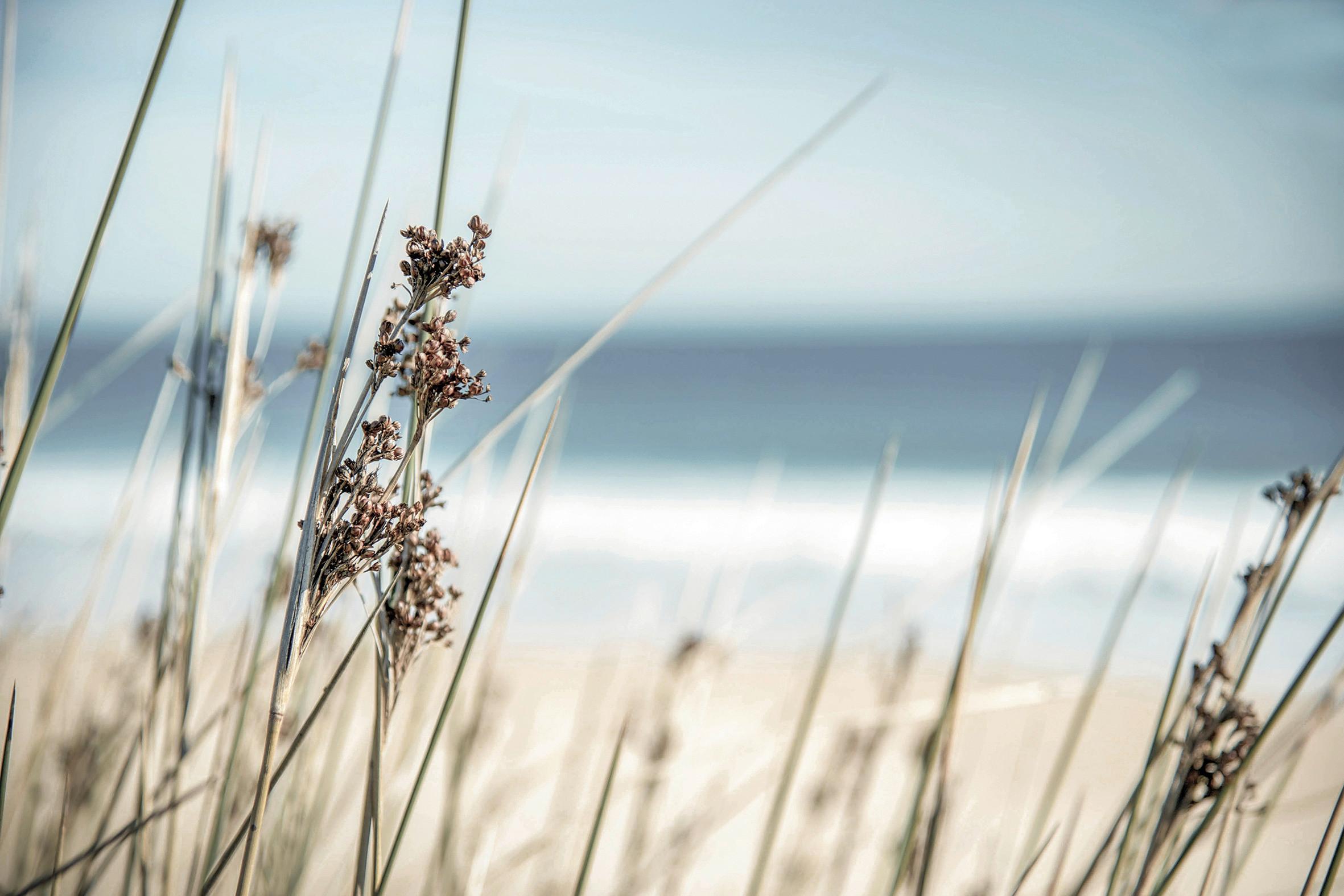 Keilrahmenbild Desteny in Multicolor ca. 150x100cm - Blau/Beige, Basics, Holzwerkstoff (150/100/3.00cm) - Modern Living