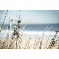 Keilrahmenbild Desteny in Multicolor ca. 150x100cm - Blau/Weiss, Basics, Holzwerkstoff (150/100/3.00cm) - Modern Living