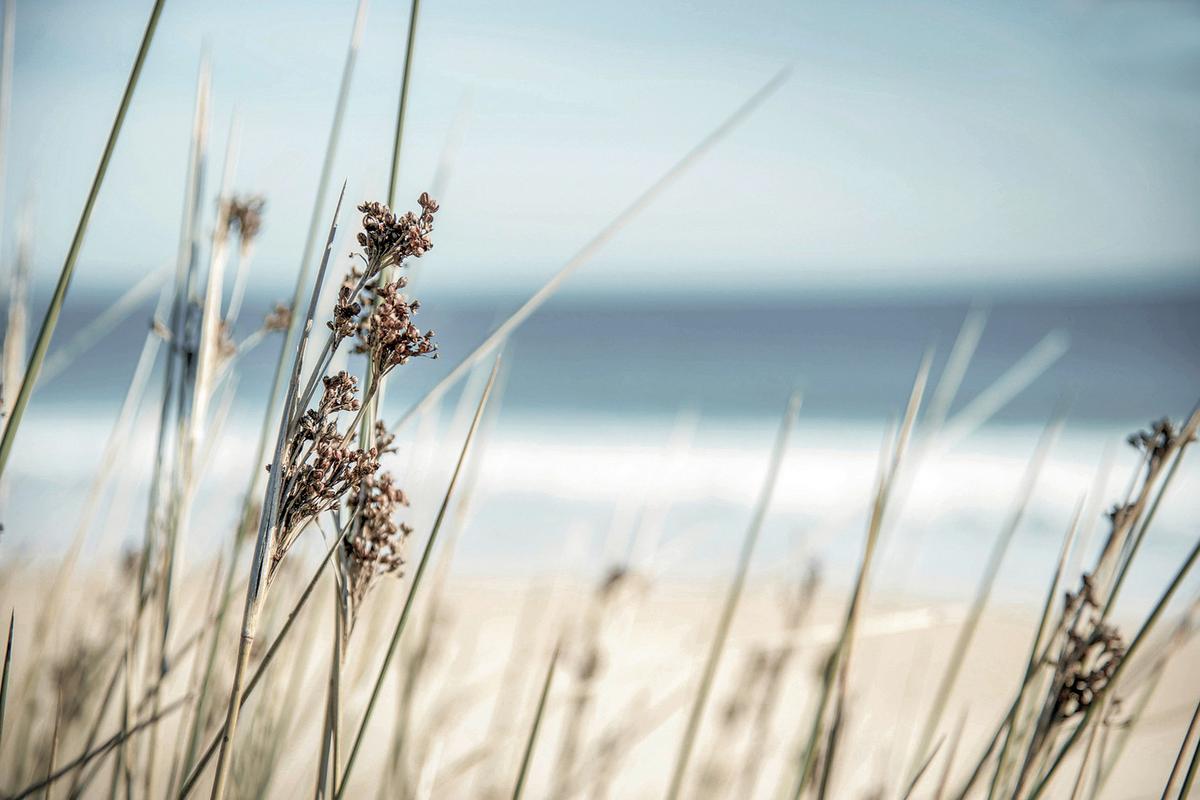 Keilrahmenbild Desteny in Multicolor ca. 150x100cm - Blau/Weiss, Basics, Holzwerkstoff (150/100/3.00cm) - Modern Living