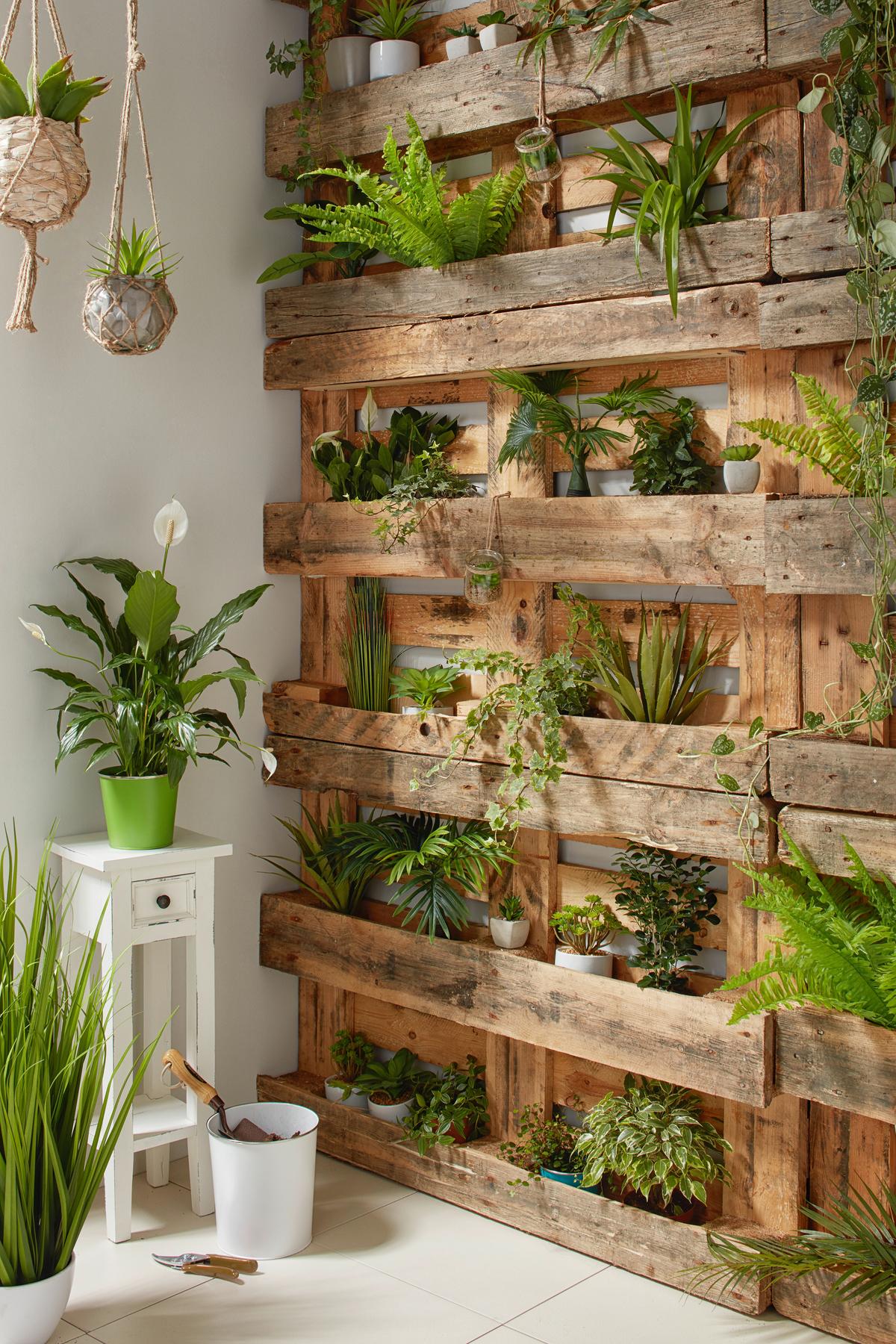 Műnövény Sukkulente - zöld, Lifestyle, műanyag (7-9cm) - Modern Living