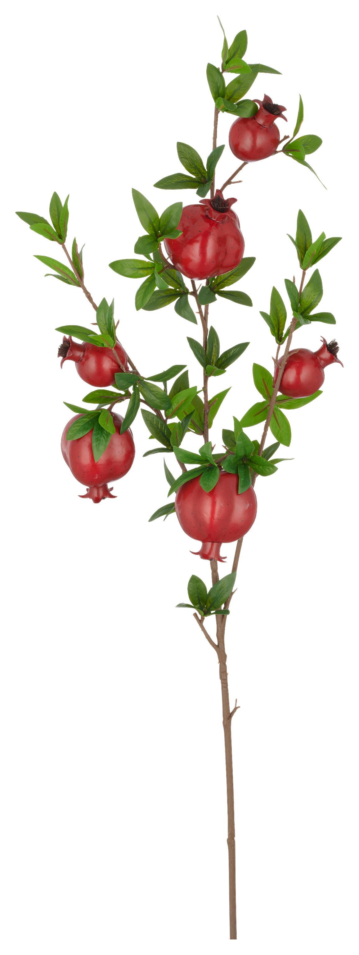 Umetna Rastlina Granatapfelzweig I - rdeča/zelena, Basics, umetna masa (94cm) - Mömax