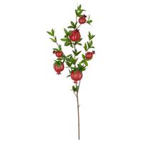Umetna Rastlina Granatapfelzweig I - rdeča/zelena, Basics, umetna masa (94cm) - Mömax