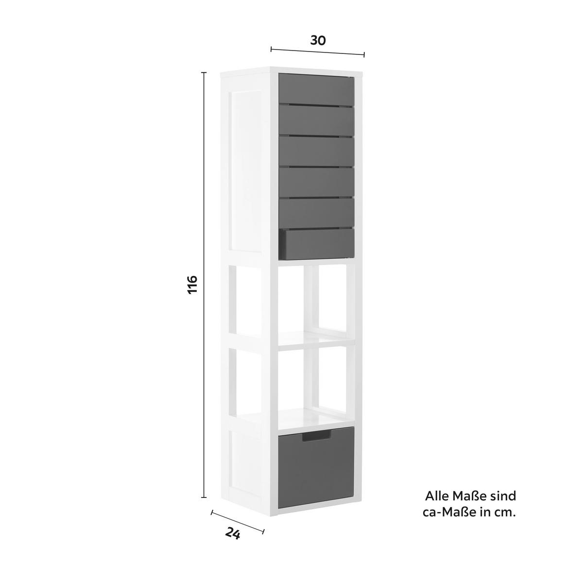 Hängeschrank Tia Grau/Weiß ca. 30x116x24 cm - Weiß/Grau, MODERN (30/116/24cm) - Bessagi Home