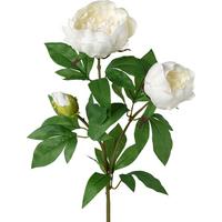 Kunstpflanze Peonienzweig in Weiß - Weiß/Grün, Basics, Kunststoff (70cm) - Modern Living