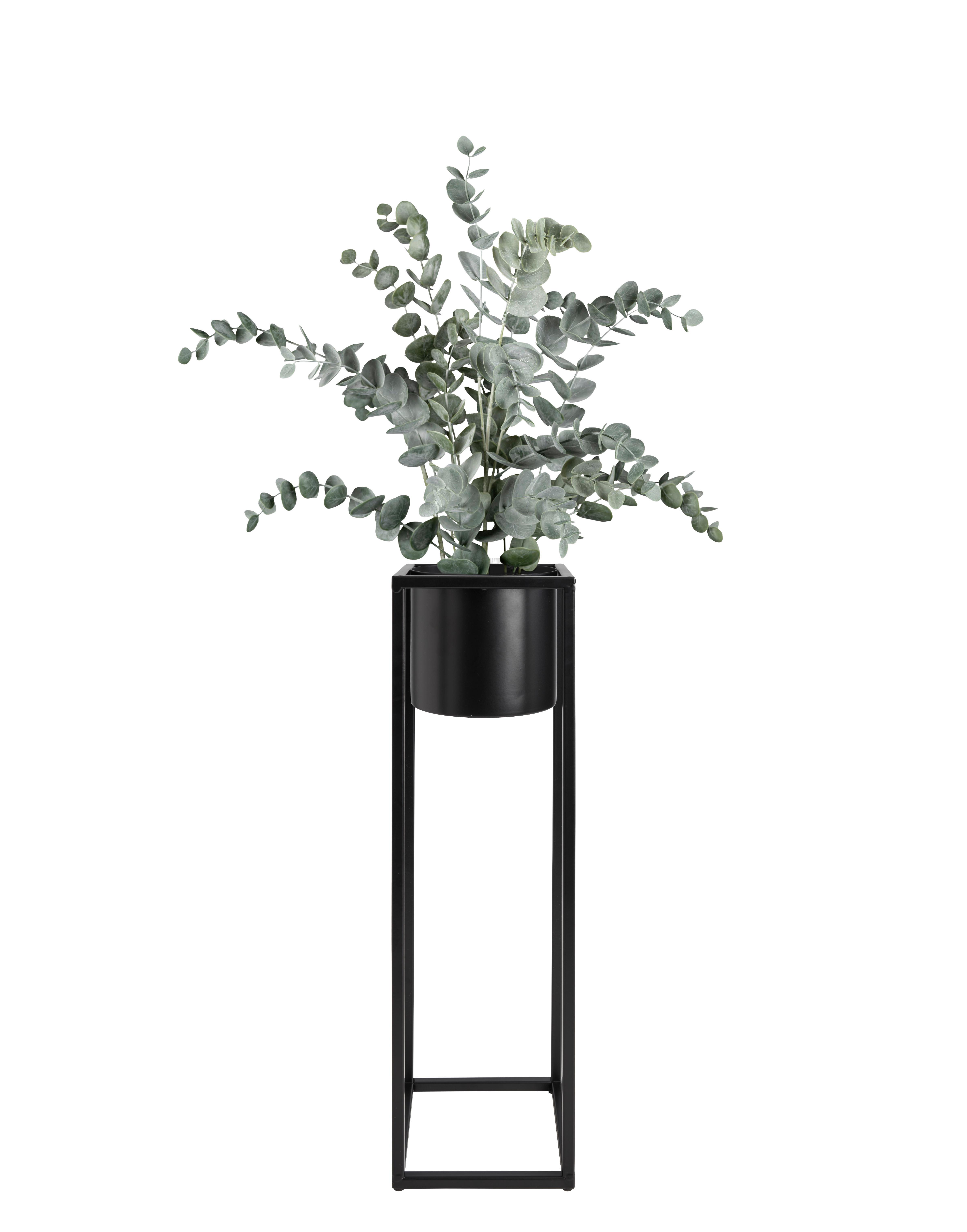 Műnövény Eucalypthus - fekete/szürke, Basics, műanyag (53cm) - Modern Living