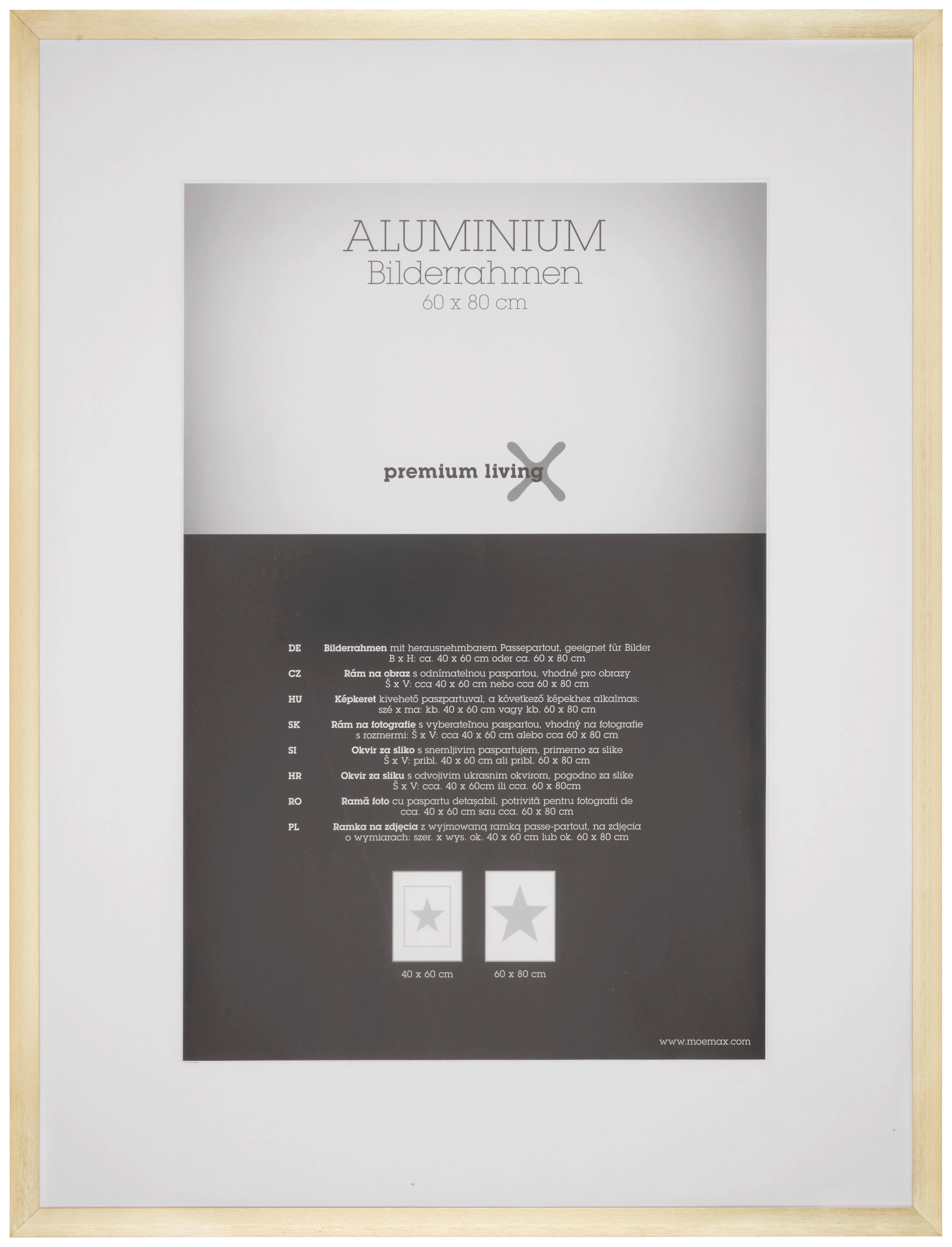 Bilderrahmen Aluminium in Goldfarben - Messingfarben/Goldfarben, ROMANTIK / LANDHAUS, Metall (63,1/83,1/2.2cm) - Premium Living