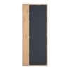 HALLPANEL ARKO STRIPES IV -EXKLUSIV/SB- - ekfärgad, Modern, glas (140/56/1,63cm) - Mömax