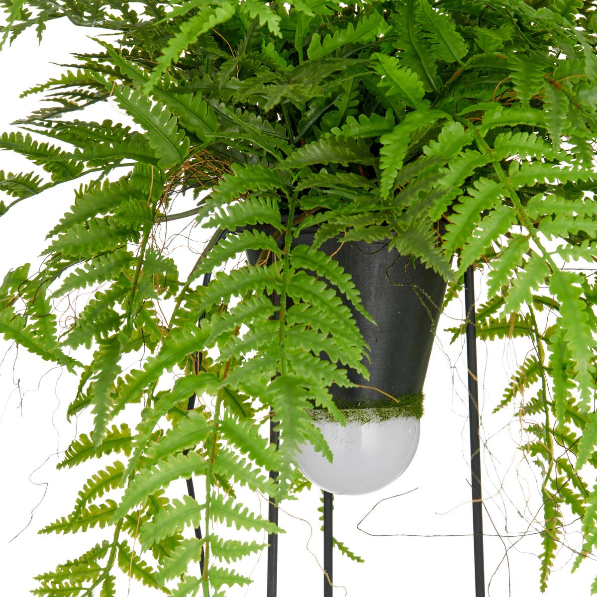 Kunstpflanze Farnmix Grün ca. 60cm - Schwarz/Grün, Basics, Kunststoff/Metall (60cm) - P & B