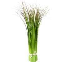 Grasbündl Markus in Grün - Grün, Basics (45cm) - Modern Living