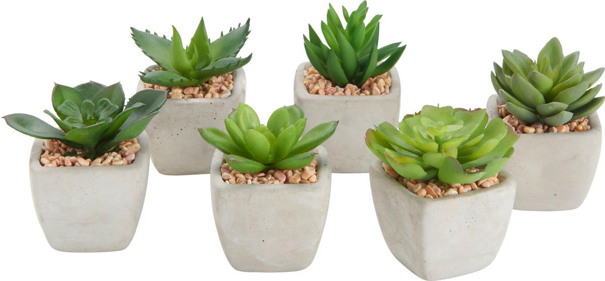 Plantă artificială Sukkulente - verde, Lifestyle, plastic (7-9cm) - Modern Living