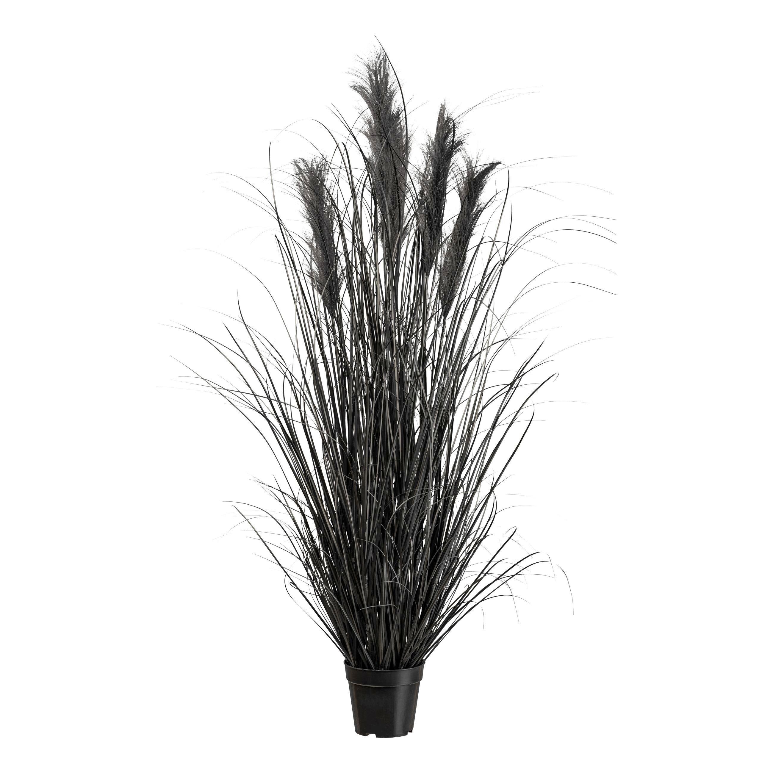 Kunstpflanze Pampasgras I in Schwarz - Schwarz, MODERN, Kunststoff (125cm) - Modern Living