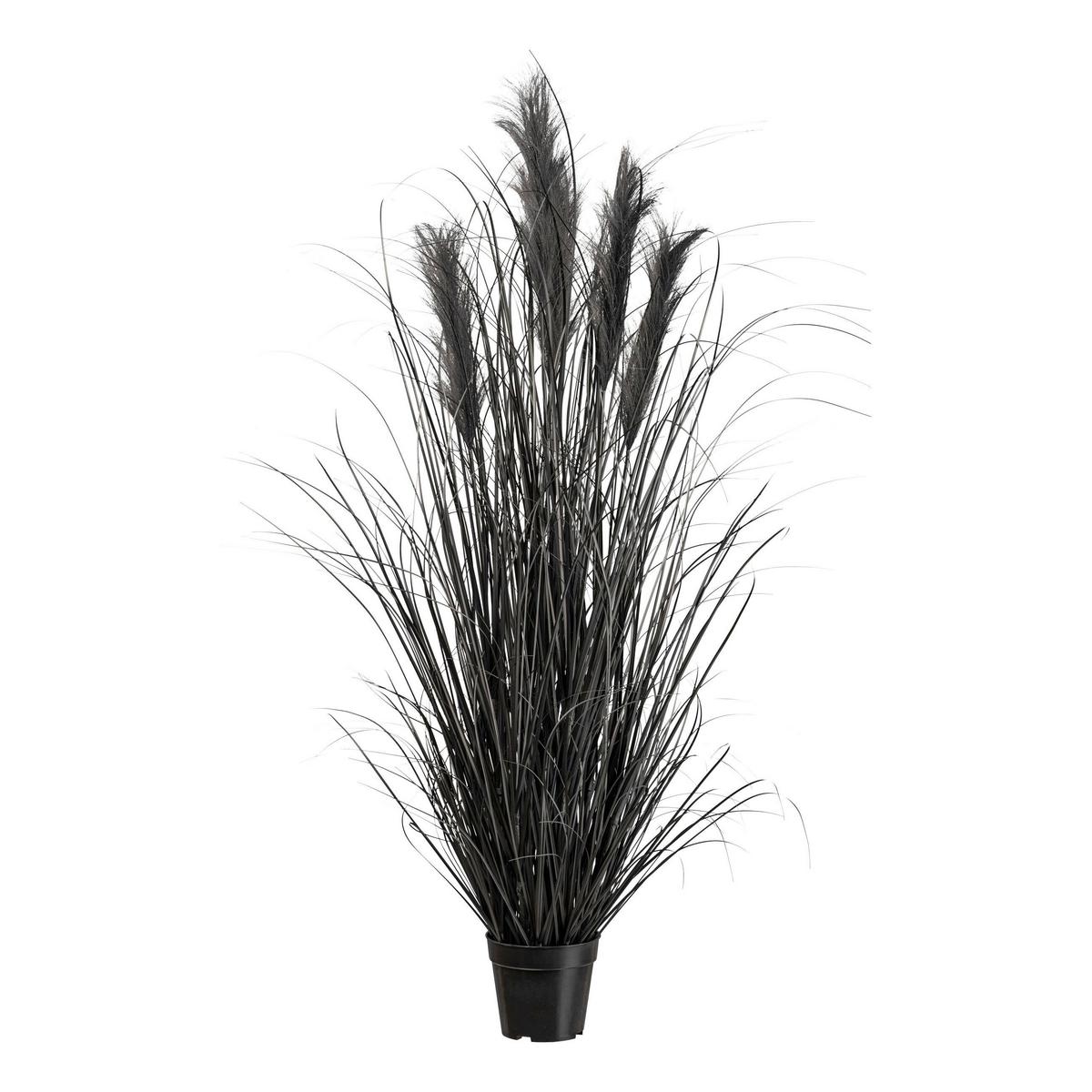 SZTUCZNA ROŚLINA PAMPASGRAS II - czarny, Modern, tworzywo sztuczne (125cm) - Modern Living