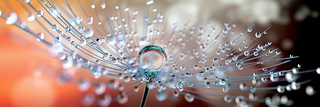 OBRAZ NA SZKLE GB-BMM1065 - różnokolorowy, Natur, szkło (98/33/1,4cm) - Euroart