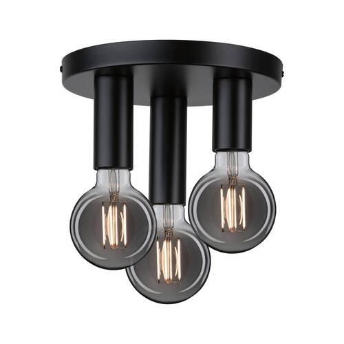 Deckenleuchte Skogen in Schwarz max. 20 Watt - Schwarz, Basics, Metall (24/14,5cm) - Paulmann